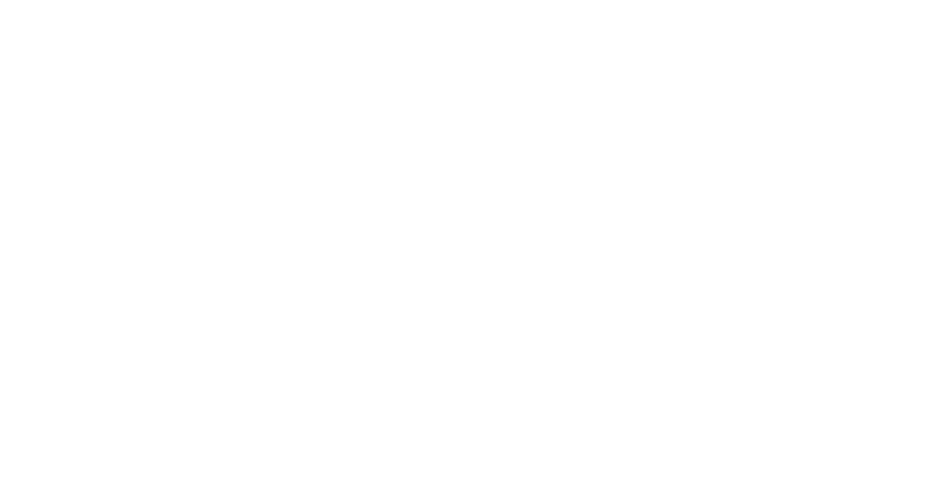 AI Princess
